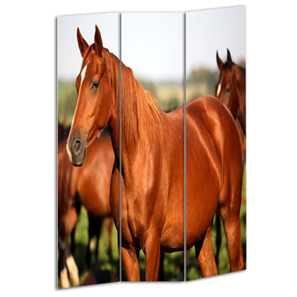 72" Brown And White Canvas Folding Three Panel Screen Room Divider