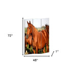 72" Brown And White Canvas Folding Three Panel Screen Room Divider