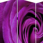 72" Pink Canvas Folding Three Panel Screen Room Divider