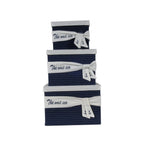 Set of Three Blue And White Fabric Organizing Box With Lid