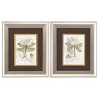 11" X 13" Brushed Silver Frame Dragonfly (Set Of 2)