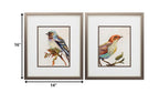 14" X 16" Metallic Bronze Frame Eco Bird (Set Of 2)