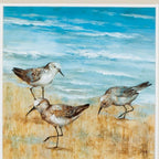 19" X 19" White Frame Sandpipers (Set Of 2)