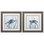 19" X 19" Distressed Wood Toned Frame Turtle In Grass (Set Of 2)