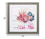 23" X 23" Sea Creature Fish Brown Square Framed Art