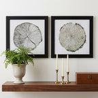 14" X 14" Dark Wood Toned Frame Woodland Years (Set Of 2)