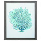 27" X 33" Distressed Wood Toned Frame Aqua Coral On White Ii