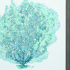 27" X 33" Distressed Wood Toned Frame Aqua Coral On White Ii
