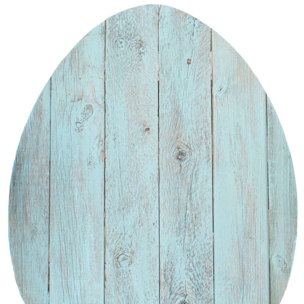 12" X 9" Turquoise Reclaimed Wood Egg Shaped Wall Decor