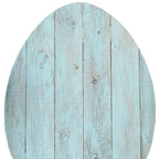 12" X 9" Turquoise Reclaimed Wood Egg Shaped Wall Decor
