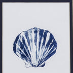 Set Of Two Blue And White Seashell Wall Art
