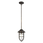 Antique Bronze Teardrop Shape Pendant Light