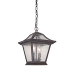 Matte Black Birdhouse Shape Outdoor Hanging Light