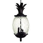 Clear and Black Three Light Pineapple Outdoor Hanging Pendent Light