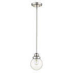 Silver Metal Hanging with Round Clear Glass Shade