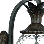 Black And Clear Three Light Crackled Dimmable Outdoor Hanging Lights With Black And Clear Shades
