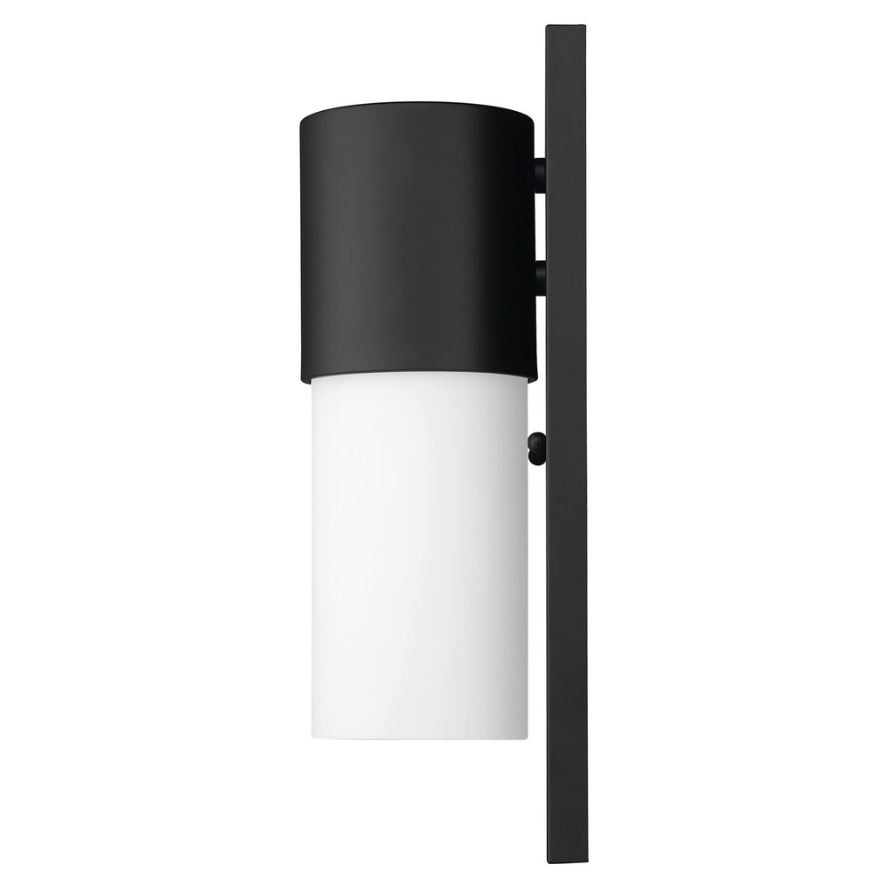 Black Frosted Dimmable Outdoor Hanging Light With Black And White Shades