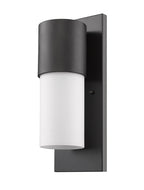 Black And White Frosted Dimmable Outdoor Hanging Light With Black And White Shades