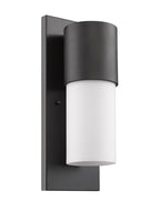 Black And White Frosted Dimmable Outdoor Hanging Light With Black And White Shades