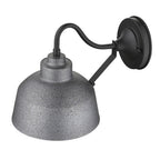 Barnes 1-Light Gray Wall Light