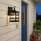 Glass panel Matte Black Outdoor Cage Light
