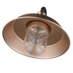 Copper Seeded Dimmable Outdoor Hanging Light With Copper Shades