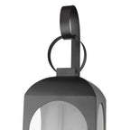 Black And Clear Two Light Transparent Dimmable Outdoor Hanging Lights With Black And Clear Shades