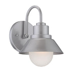 Silver And White Frosted Dimmable Outdoor Hanging Light With Silver And White Shades