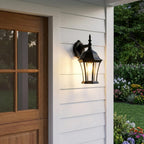 Matte Black Hanging Carousel Lantern Wall Light