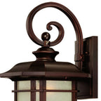Antiqued Bronze And Clear Frosted Dimmable Outdoor Hanging Light With Antiqued Bronze And Clear Shades