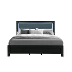 Black and Ash Gray Wood And Upholstery Upholstered Queen Bed Frame