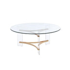41" Clear and Gold Glass Acrylic and Brass Round Coffee Table
