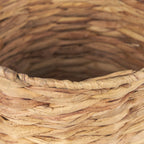 Set of Two Brown Nesting Water Hyacinth Basket With Lid