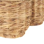 Set of Two Brown Nesting Water Hyacinth Basket With Lid