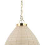 Brown Single Metal Dimmable Ceiling Light With Brown Shades