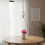 Clear Single Glass Dimmable Ceiling Light With Clear Shades