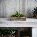 Brown Wood Rectangular Distressed Planter Box