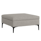 36" Cloud And Black Ottoman With Storage
