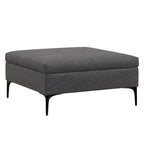 36" Cloud And Black Ottoman With Storage