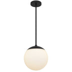10" Black And White Frosted LED Dimmable Outdoor Globe Hanging Light