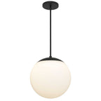 Black And White Frosted LED Dimmable Outdoor Hanging Light With Black Shades