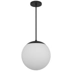 Black And White Frosted LED Dimmable Outdoor Hanging Light With Black Shades