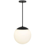 Black And White Frosted LED Dimmable Outdoor Hanging Light With Black Shades