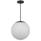 Black And White Frosted LED Dimmable Outdoor Hanging Light With Black Shades
