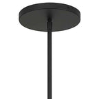 Black And White Frosted LED Dimmable Outdoor Hanging Light With Black Shades