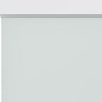 80" X 24" White Glass French Doors