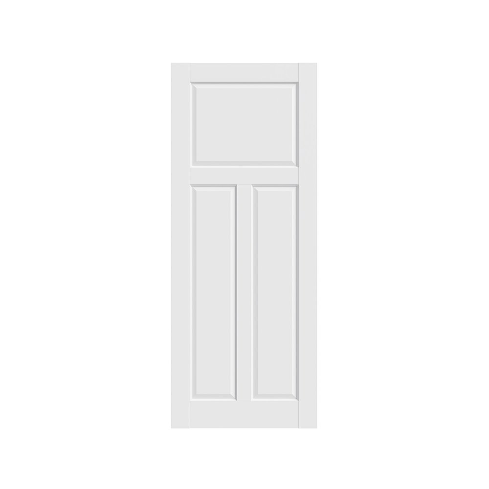 80" X 24" White Wood Slab Door