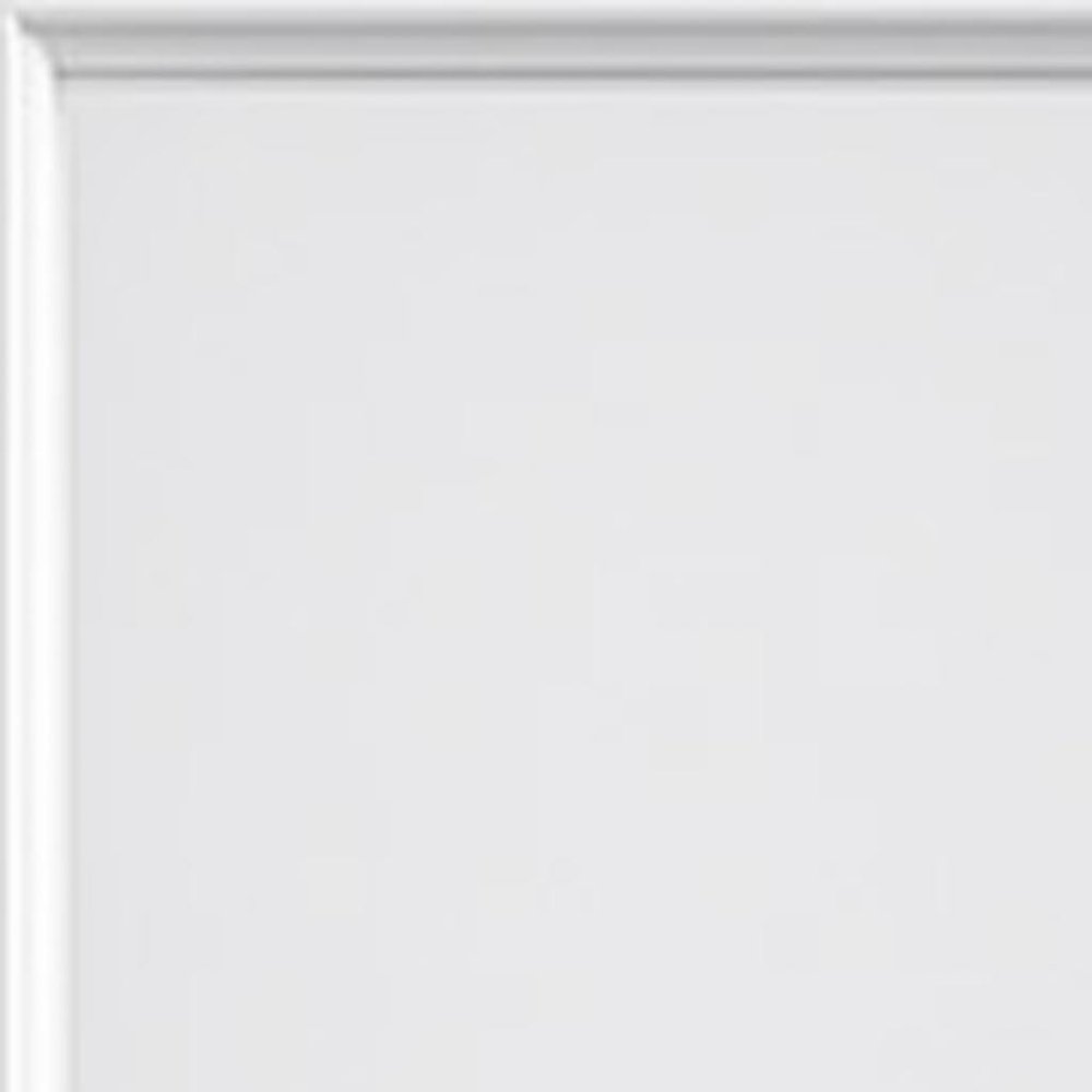 80" X 24" White Glass French Doors