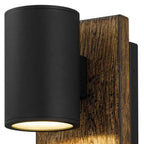 Black LED Dimmable Outdoor Hanging Light