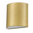 Brass LED Dimmable Outdoor Hanging Light